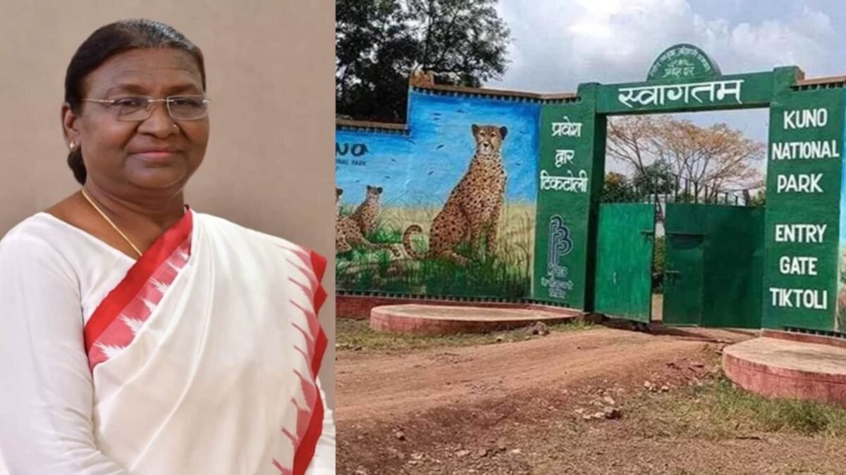 चीता सफारी करेंगी राष्ट्रपति द्रौपदी मुर्मू