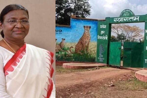 चीता सफारी करेंगी राष्ट्रपति द्रौपदी मुर्मू